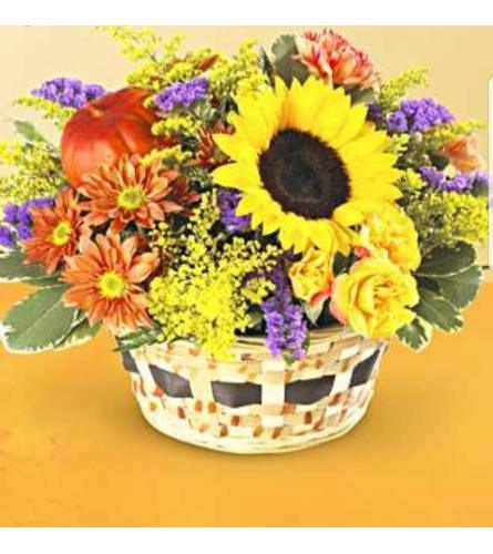 Autumn Hues. An arrangement by Avenue Flowers and Gifts.