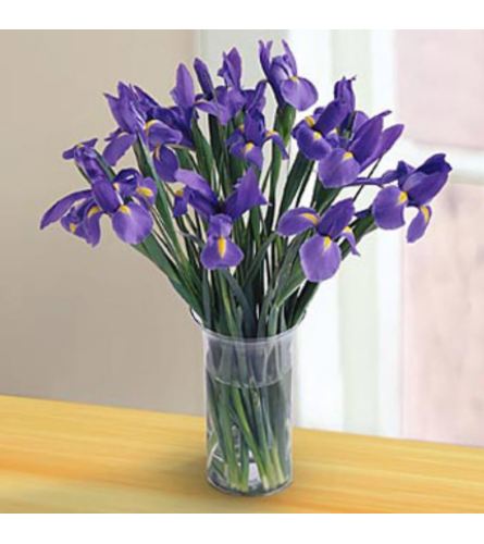 Irresistible Iris. An arrangement by Avenue Flowers and Gifts.