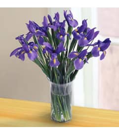 Irresistible Iris. An arrangement by Avenue Flowers and Gifts.