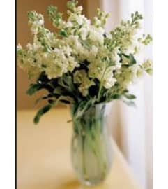 Fragrant Mist. An arrangement by Avenue Flowers and Gifts.