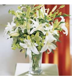 White Lily Elegance. An arrangement by Avenue Flowers and Gifts.