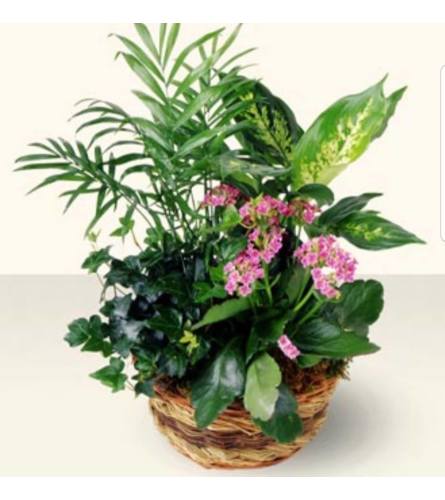 Paris Garden. An arrangement by Avenue Flowers and Gifts.