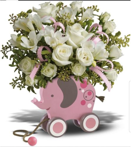Baby Elephant Girl. An arrangement by Avenue Flowers and Gifts.