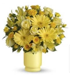 Sunny Forever. An arrangement by Avenue Flowers and Gifts.