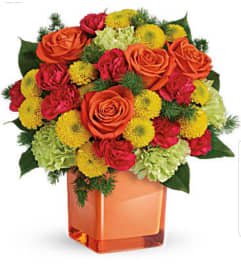 Citrus Twist. An arrangement by Avenue Flowers and Gifts.