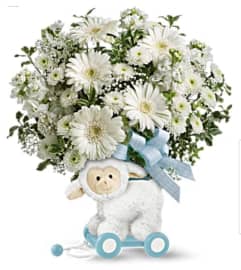 Little Lamb Boy. An arrangement by Avenue Flowers and Gifts.
