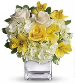 Silver Sunrise. An arrangement by Avenue Flowers and Gifts.