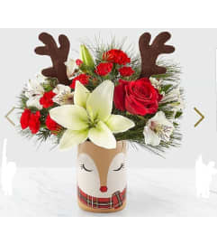 Rudolph's Surprise. An arrangement by Avenue Flowers and Gifts.