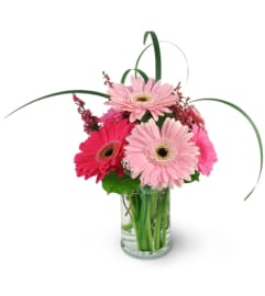 Think Pink. An arrangement by Avenue Flowers and Gifts.