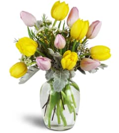 Too Too Tulips!™. An arrangement by Avenue Flowers and Gifts.