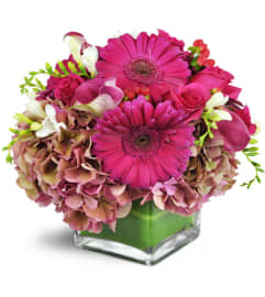 Magic in Magenta™. An arrangement by Avenue Flowers and Gifts.