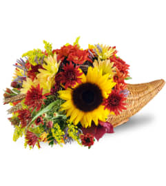 Autumn Plenty Cornucopia™. An arrangement by Avenue Flowers and Gifts.
