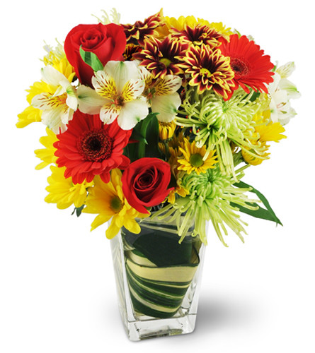 First Impressions. An arrangement by Avenue Flowers and Gifts. Red roses, Gerbera daisies, mums, and more are beautifully arranged in a tapered...