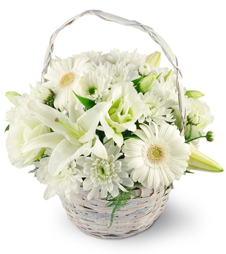 Serenity Basket. An arrangement by Avenue Flowers and Gifts. An elegant white basket is filled with white oriental lilies, chrysanthemums,...