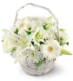 Serenity Basket. An arrangement by Avenue Flowers and Gifts.