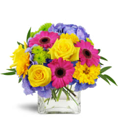 Blooming Medley™. An arrangement by Avenue Flowers and Gifts.
