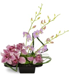 Shanghai Dusk Orchids™. An arrangement by Avenue Flowers and Gifts.