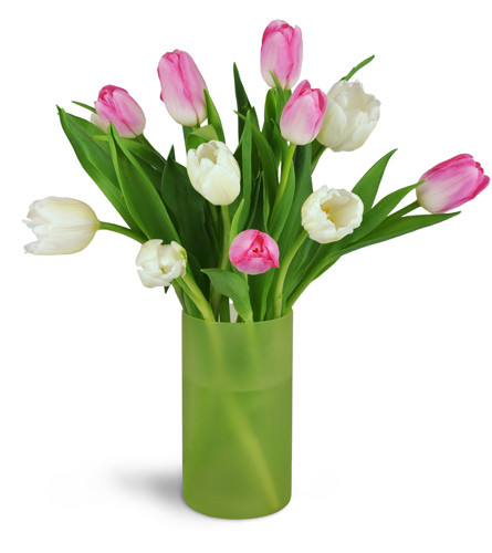 Spring Breezes Tulip Bouquet™. An arrangement by Avenue Flowers and Gifts. Pink tulips and white tulips are elegantly arranged in a green glass vase..