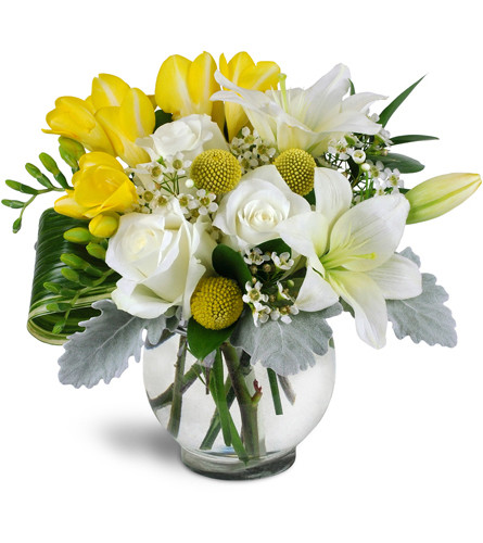 Soothing Blooms™. An arrangement by Avenue Flowers and Gifts. White lilies and roses are arranged with fragrant yellow freesia and more in a...