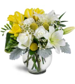 Soothing Blooms™. An arrangement by Avenue Flowers and Gifts.