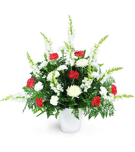 From the Heart. An arrangement by Avenue Flowers and Gifts. Pure white snapdragons and commercial mums are accented with red carnations to create...