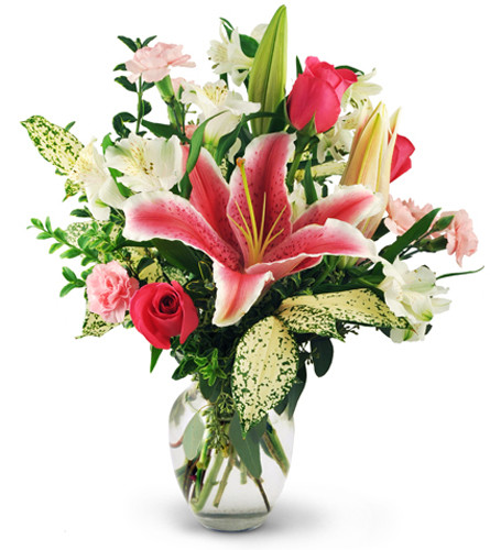 Blissful Pink. An arrangement by Avenue Flowers and Gifts. Stargazer lilies, roses, alstroemeria, and miniature carnations are accentuated with...