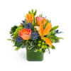October Evening™ - Standard. An arrangement by Avenue Flowers and Gifts.