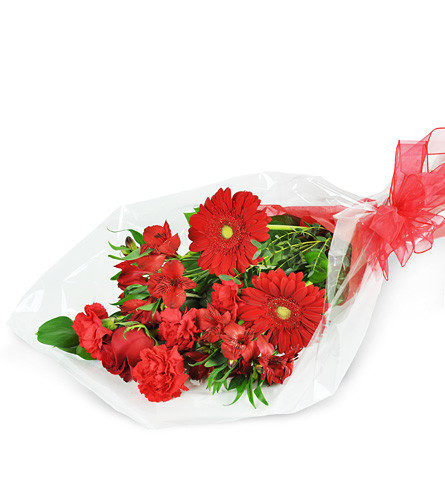 Red Romance, Wrapped Bouquet. An arrangement by Avenue Flowers and Gifts. Gerbera daisies, alstroemeria, carnations, and more are beautifully...