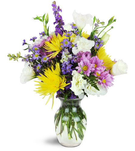 Bistro Chic™. An arrangement by Avenue Flowers and Gifts. Fuji mums, daisies, larkspur, and more are arranged in a classic glass container..