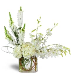 Elegant Observations™. An arrangement by Avenue Flowers and Gifts.