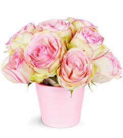 For My Sweetie. An arrangement by Avenue Flowers and Gifts.