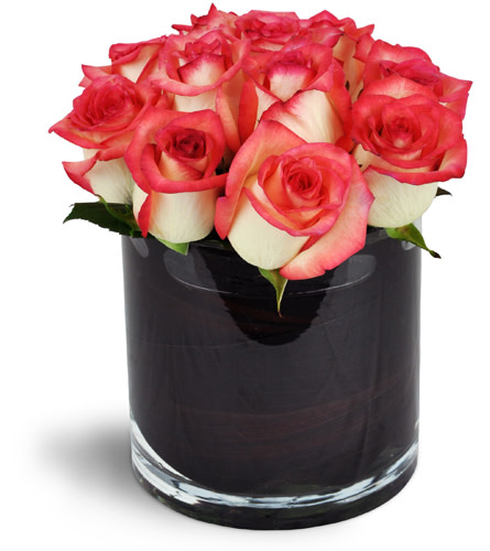 Modern Love Story™. An arrangement by Avenue Flowers and Gifts. A dozen cream and pink roses are stylishly arranged in a cylindrical vase..