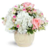 Graceful Embrace - Standard. An arrangement by Avenue Flowers and Gifts. Bursting with white hydrangea, light pink roses, and spray roses, this...