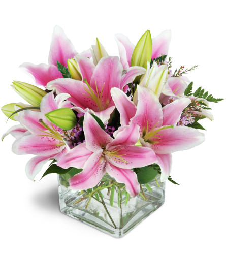 Pink Delight™ - Deluxe. An arrangement by Avenue Flowers and Gifts. Featuring stunning pink Stargazer lilies arranged with pink waxflower..
