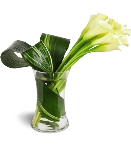 Classic Elegance Calla Vase™. An arrangement by Avenue Flowers and Gifts. Ten creamy white mini calla lilies are accented by delicately rolled...