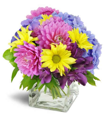 Pretty Purple Cheer™ - Deluxe. An arrangement by Avenue Flowers and Gifts. Pink dahlias, purple alstroemeria, blue hydrangea, yellow daisies, and...