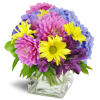 Pretty Purple Cheer™ - Deluxe. An arrangement by Avenue Flowers and Gifts. Pink dahlias, purple alstroemeria, blue hydrangea, yellow daisies, and...