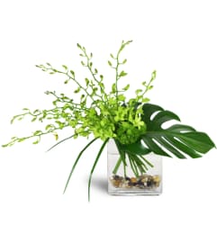 Emerald Oasis™. An arrangement by Avenue Flowers and Gifts.