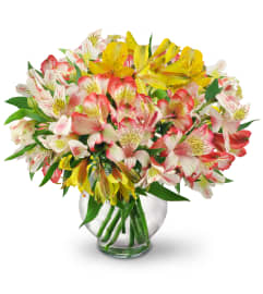 Perfect Peruvian Lilies. An arrangement by Avenue Flowers and Gifts.