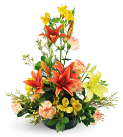 Among The Stars. An arrangement by Avenue Flowers and Gifts.