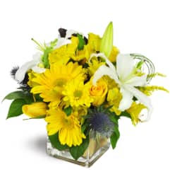 Gold Rush™. An arrangement by Avenue Flowers and Gifts.