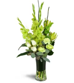 In the Limelight™. An arrangement by Avenue Flowers and Gifts.