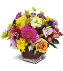 Festival of Blooms™. An arrangement by Avenue Flowers and Gifts.