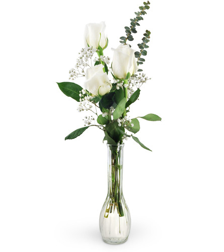Three White Roses. An arrangement by Avenue Flowers and Gifts. Three white roses are beautifully arranged with eucalyptus, baby's breath, and salal..
