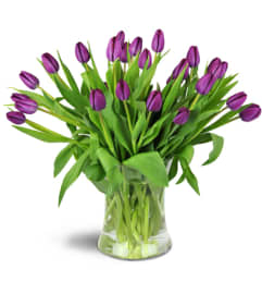 Royal Tulips™. An arrangement by Avenue Flowers and Gifts.