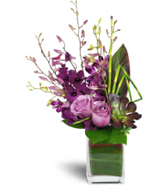 Orchid Jewels™. An arrangement by Avenue Flowers and Gifts.