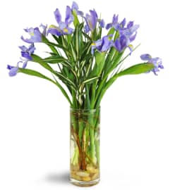 Truly Tranquil™. An arrangement by Avenue Flowers and Gifts.