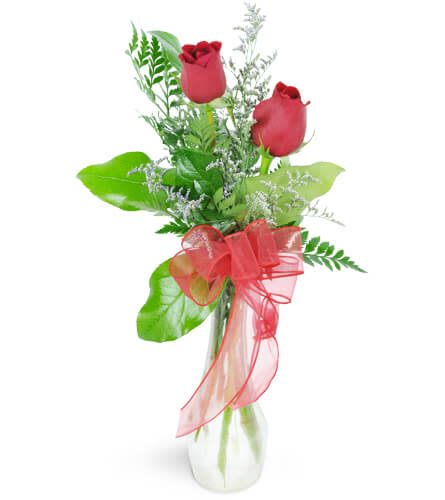 You and Me™. An arrangement by Avenue Flowers and Gifts. Two stunning red roses are arranged with delicate caspia..