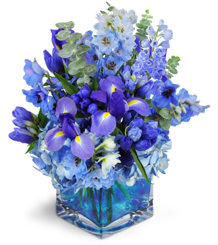 Paint the Sky™ - Deluxe. An arrangement by Avenue Flowers and Gifts. Delphinium, iris, balloon flowers, and more are artistically arranged in...