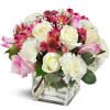 Blushing Blessings Cube™ - Premium. An arrangement by Avenue Flowers and Gifts. Handcrafted with pink roses, pink Peruvian lilies, and white...